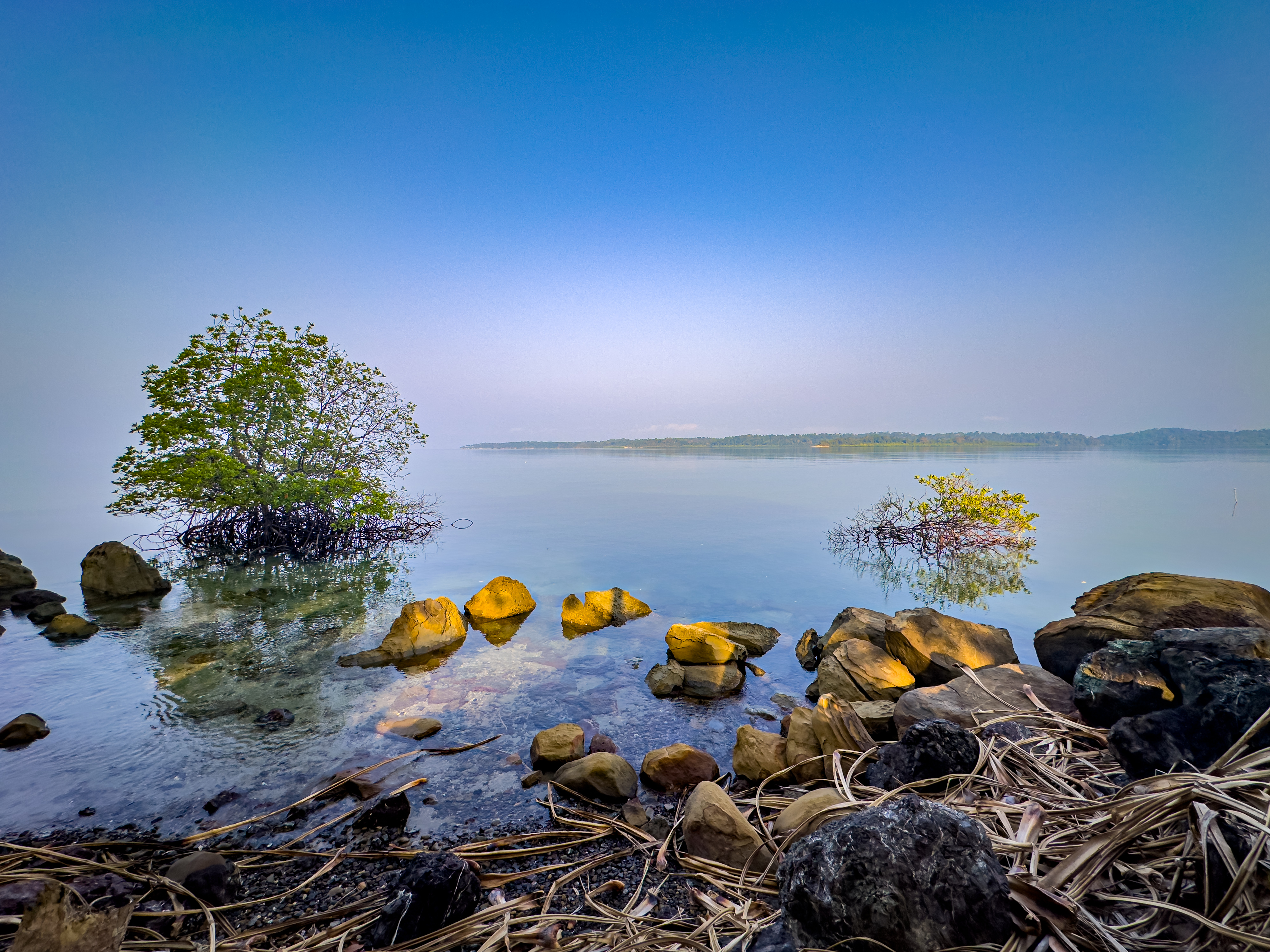 Nature and Adventure