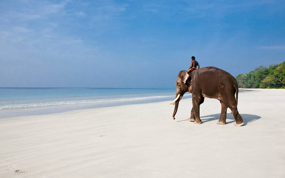 Elephant Beach