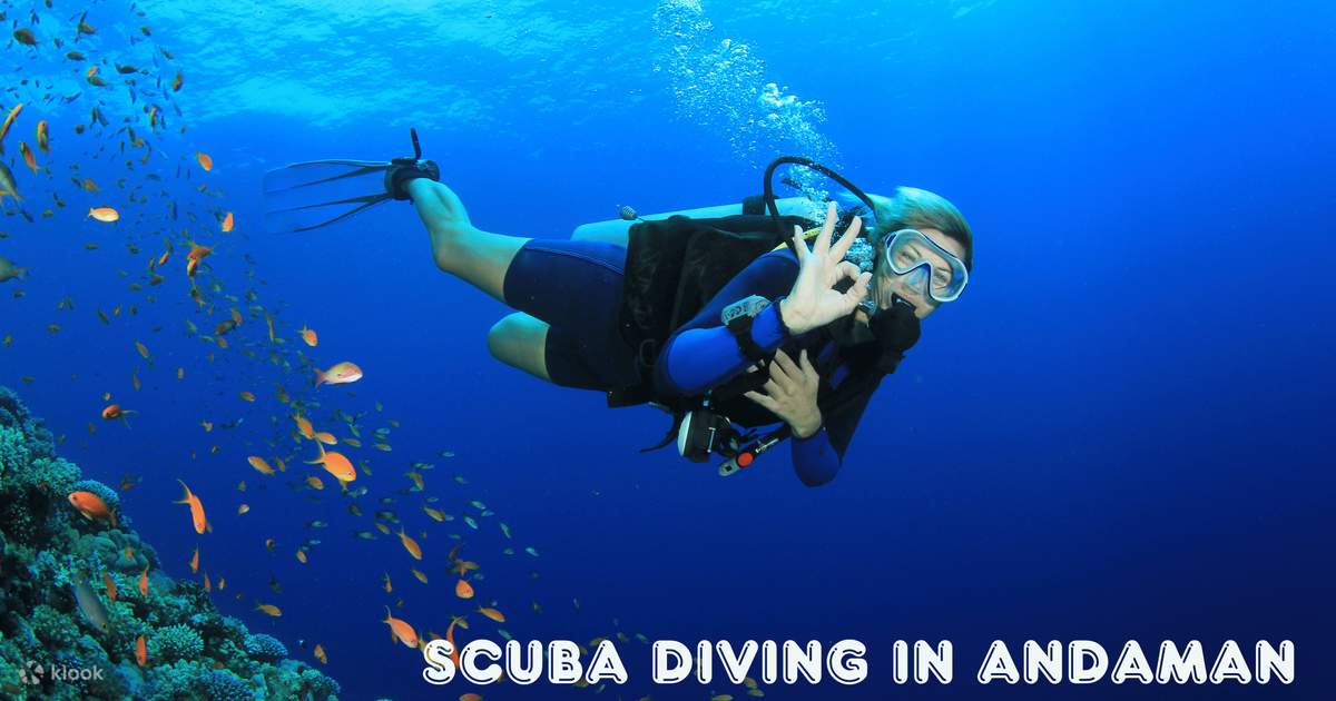 Scuba diving Andaman and Nicobar