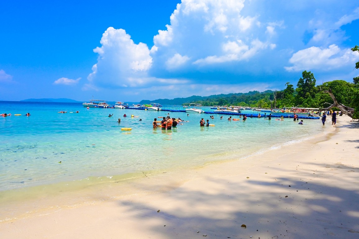 Elephant Beach