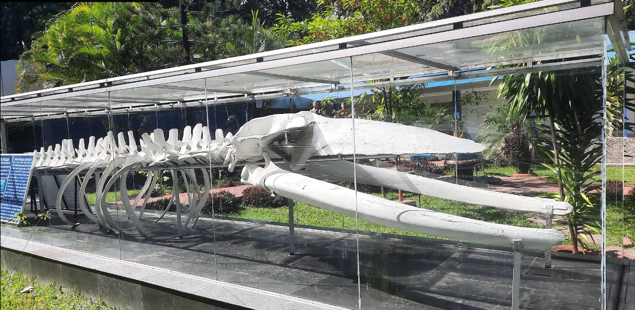 Samudrika Marine Museum