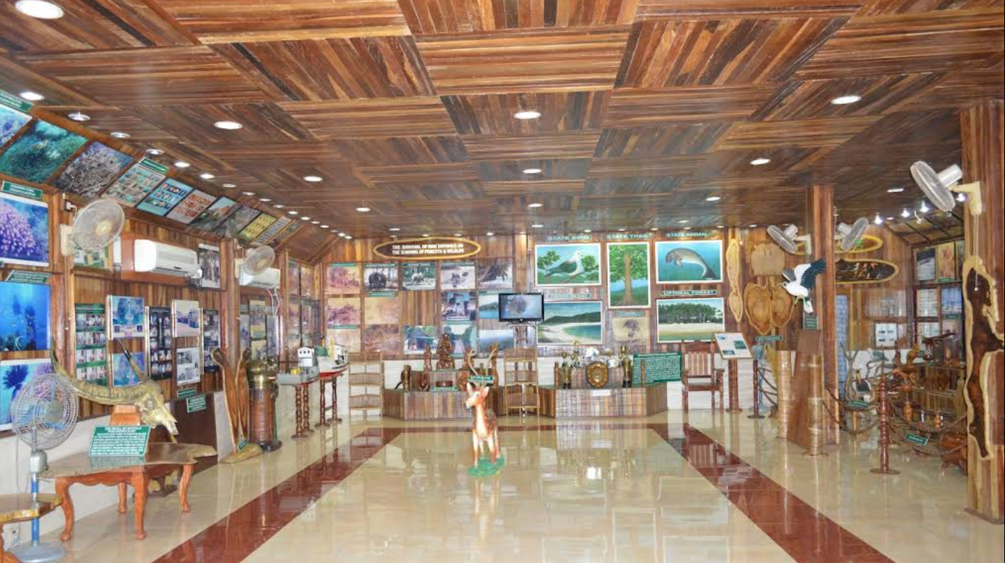 Forest Museum, Port Blair