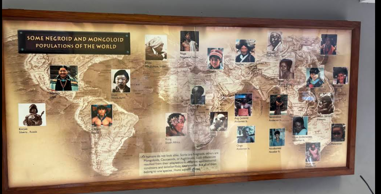 Anthropological Museum