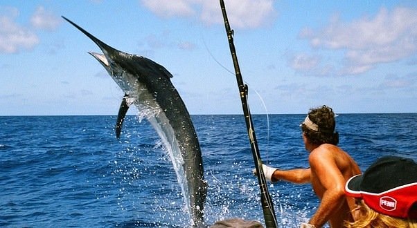 Sport/Game Fishing in Andaman & Nicobar Islands