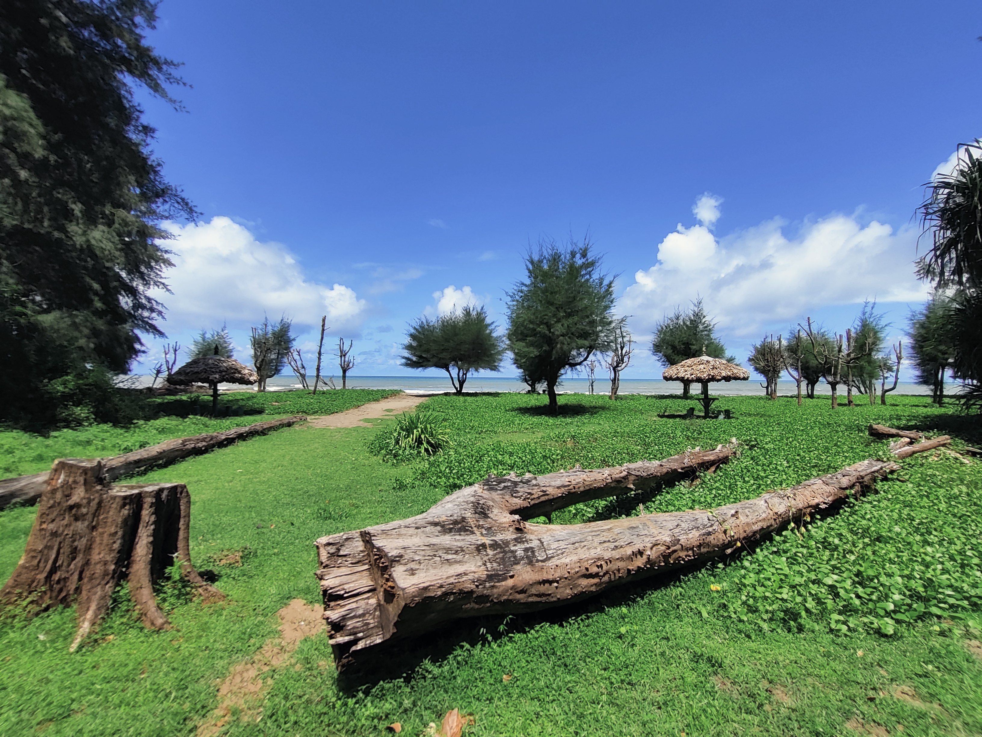 Option 1: Three Day Tour - Sri Vijaya Puram & Middle Andaman