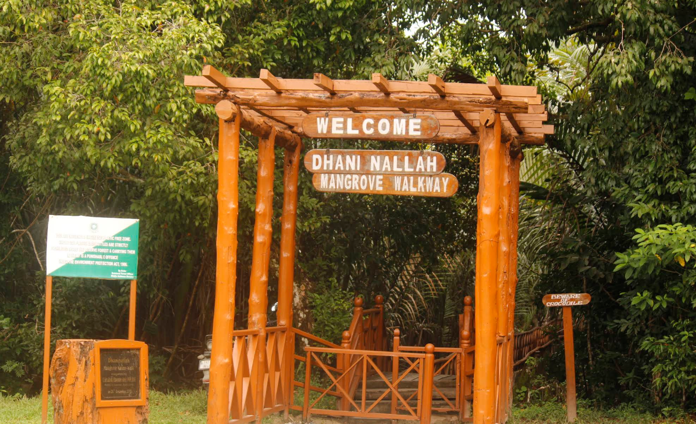 Dhani Nallah Mangrove Walkway