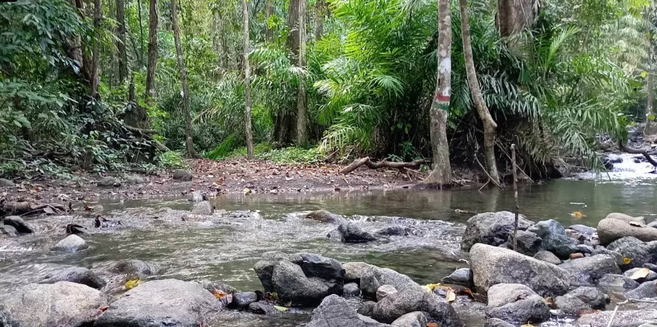 Austin Creek and  Limestone Formation